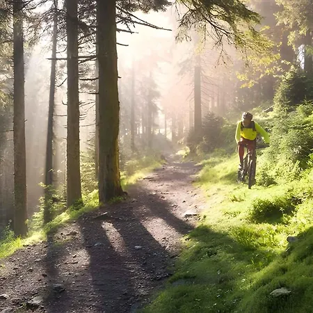 Апартаменты Harrachov/riesengebirge 2400 *
