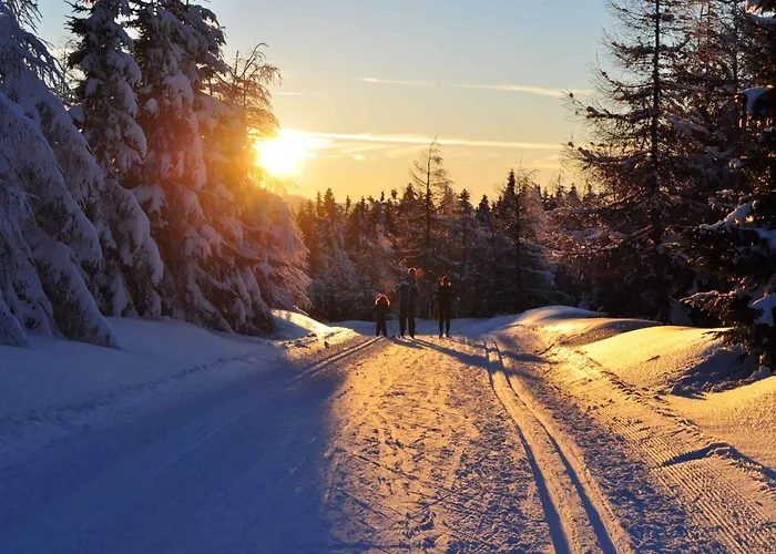 - Riesengebirge 2400 Διαμέρισμα Harrachov