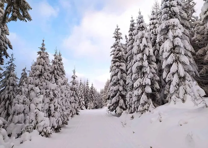 - Riesengebirge 2400 Harrachov